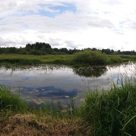 Stuga Vad Vatten Åsarp 外观 照片